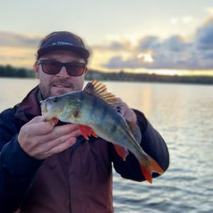 Profilbild