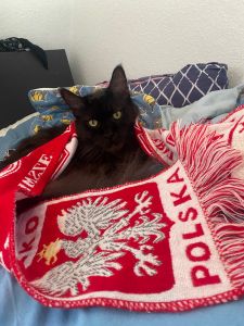 Profilbild
