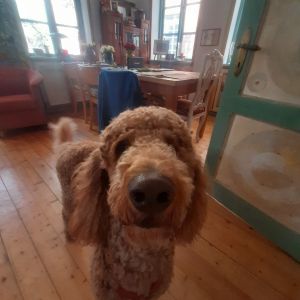 Profilbild