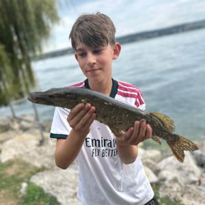 Profilbild