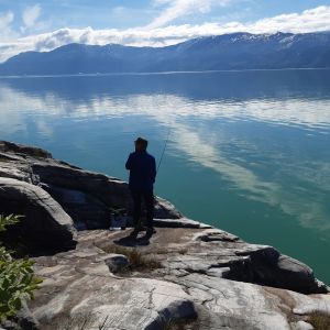 Profilbild