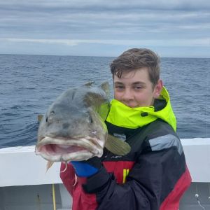 Profilbild