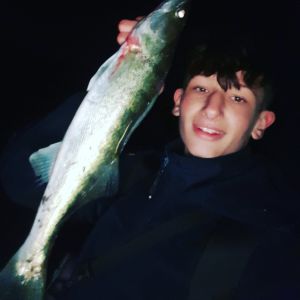Profilbild