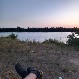 Profilbild