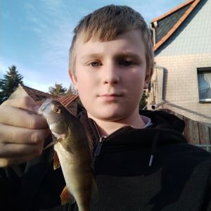 Profilbild
