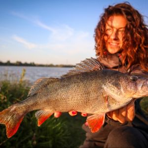 Fischstaebchen_angelt