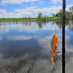 Finn_Angler