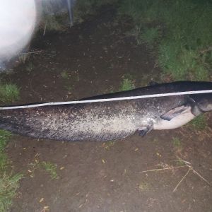 lb.089