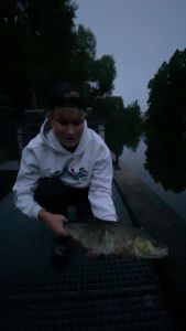 Profilbild