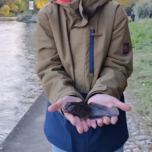 Profilbild