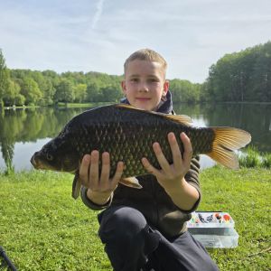 Profilbild