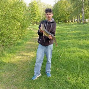 Profilbild