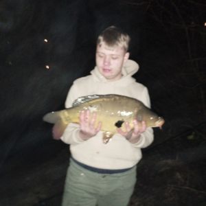 Profilbild