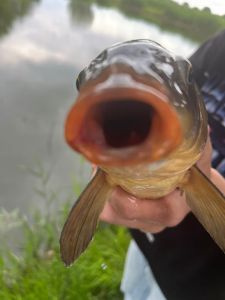 Dominik Fishing