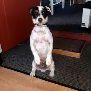 Profilbild