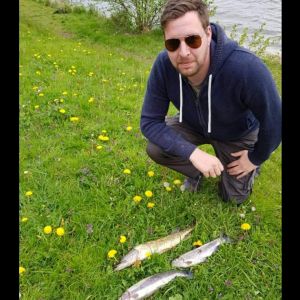 Profilbild