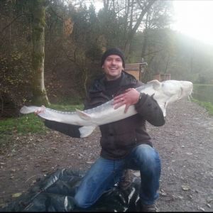 Profilbild