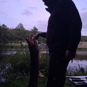 Profilbild