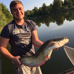 Dummfuscher 97