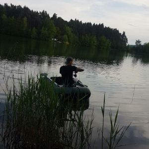 Profilbild