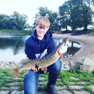Profilbild