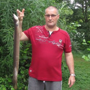 Profilbild
