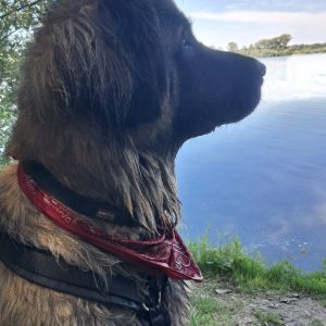 Profilbild