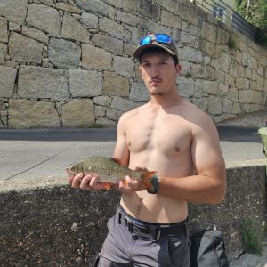 Profilbild