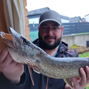Profilbild