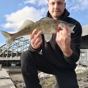 Profilbild