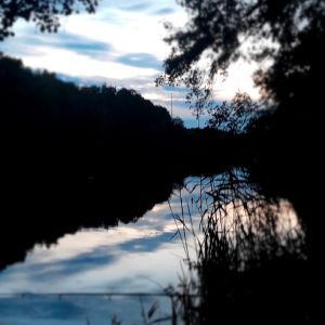 Profilbild
