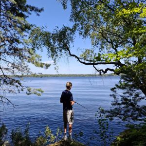 Profilbild