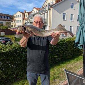 Profilbild