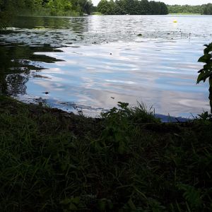 Rute raus der Spaß beginnt