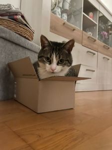 Profilbild