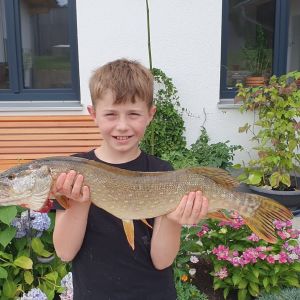 Profilbild