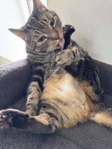 Profilbild