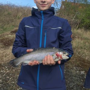 Profilbild