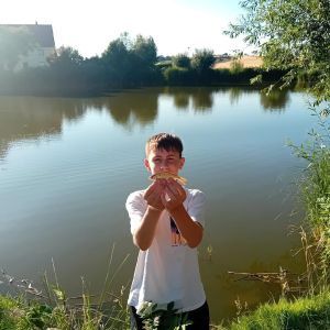Profilbild