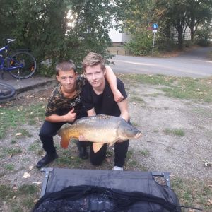 Profilbild