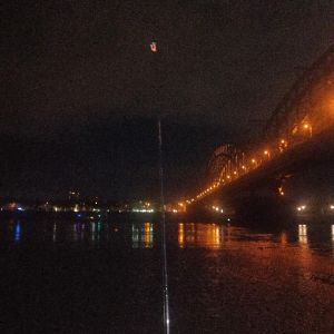 Rhein-predator Jiggy