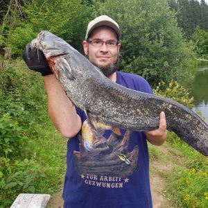Profilbild