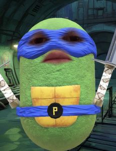 Profilbild