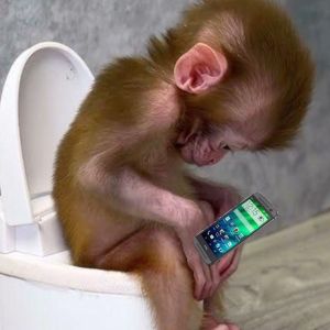 Profilbild