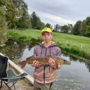 Profilbild