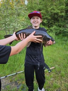 Profilbild