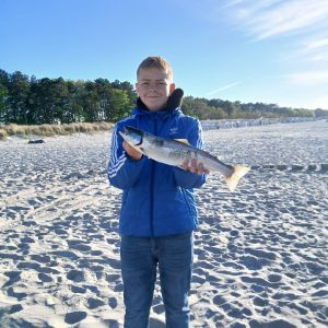 Profilbild