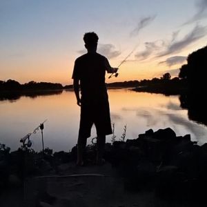Profilbild