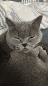 Profilbild