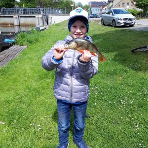 Profilbild